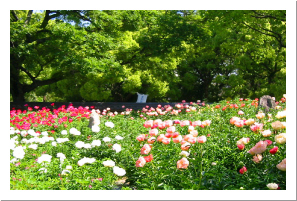 花庭園