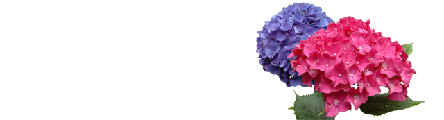 参道花めぐり