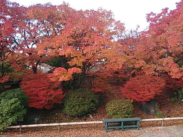 image1