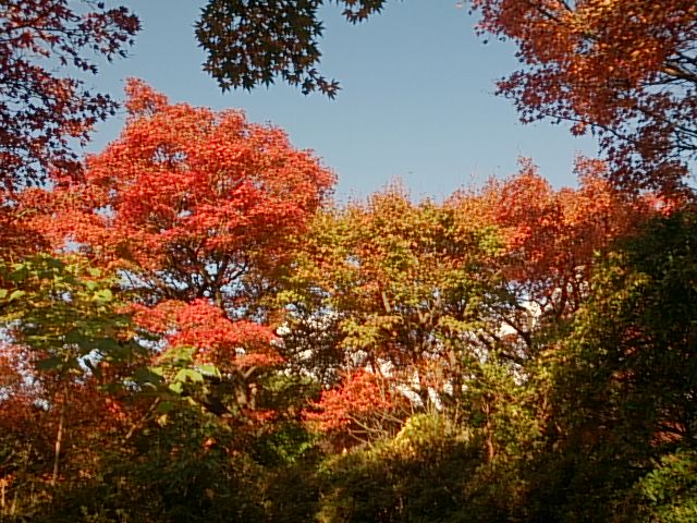 image2