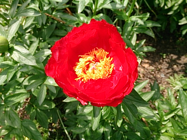 image2